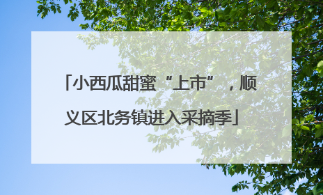 小西瓜甜蜜“上市”，顺义区北务镇进入采摘季