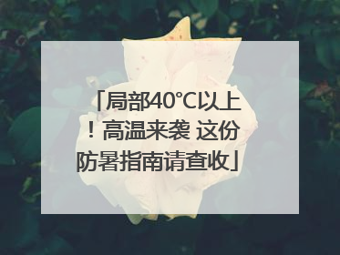 局部40℃以上！高温来袭 这份防暑指南请查收