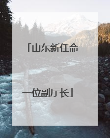 山东新任命一位副厅长