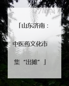 山东济南：中医药文化市集“出摊”