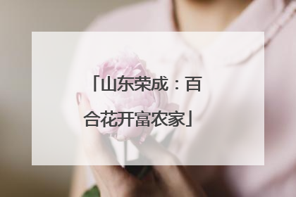 山东荣成：百合花开富农家