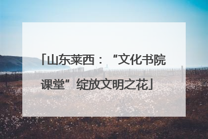 山东莱西：“文化书院课堂”绽放文明之花