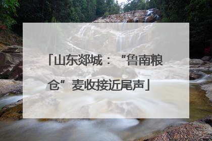 山东郯城：“鲁南粮仓”麦收接近尾声