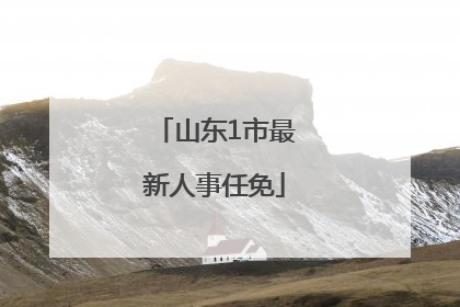 山东1市最新人事任免