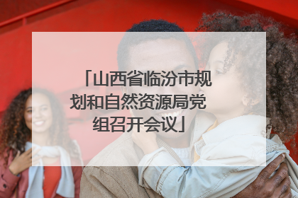 山西省临汾市规划和自然资源局党组召开会议