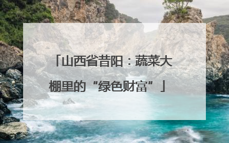 山西省昔阳：蔬菜大棚里的“绿色财富”