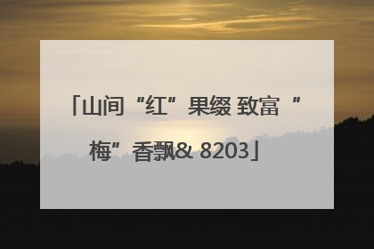 山间“红”果缀 致富“梅”香飘& 8203