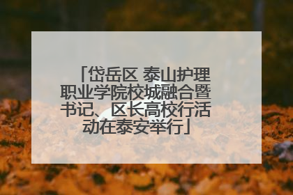 岱岳区 泰山护理职业学院校城融合暨书记、区长高校行活动在泰安举行