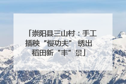 崇阳县三山村：手工插秧“慢功夫” 绣出稻田新“丰”景