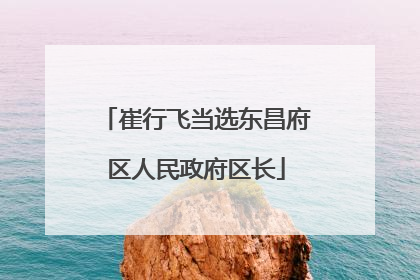 崔行飞当选东昌府区人民政府区长