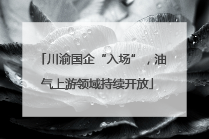 川渝国企“入场”，油气上游领域持续开放