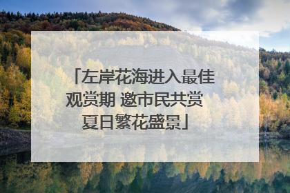 左岸花海进入最佳观赏期 邀市民共赏夏日繁花盛景