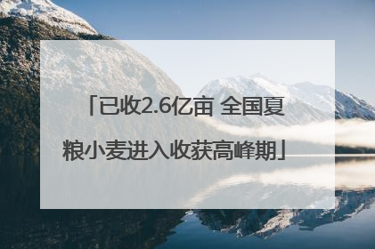 已收2.6亿亩 全国夏粮小麦进入收获高峰期