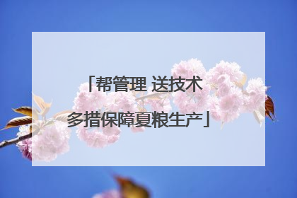 帮管理 送技术 多措保障夏粮生产