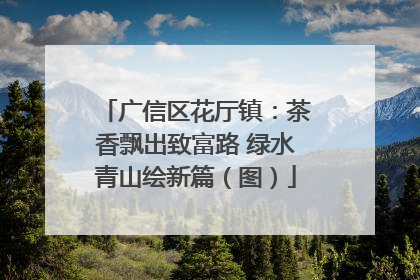 广信区花厅镇：茶香飘出致富路 绿水青山绘新篇（图）