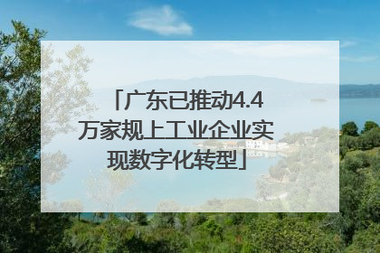 广东已推动4.4万家规上工业企业实现数字化转型