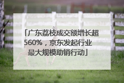 广东荔枝成交额增长超560%，京东发起行业最大规模助销行动
