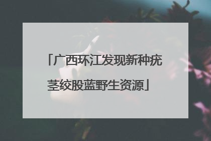 广西环江发现新种疣茎绞股蓝野生资源