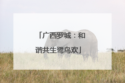广西罗城：和谐共生鹭鸟欢