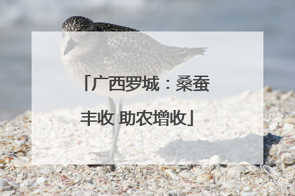 广西罗城：桑蚕丰收 助农增收