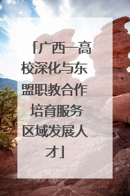广西一高校深化与东盟职教合作 培育服务区域发展人才