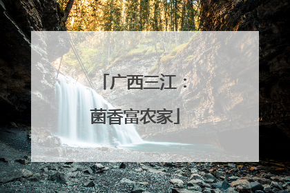 广西三江：菌香富农家