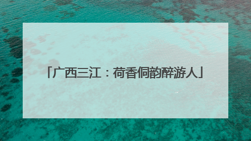 广西三江：荷香侗韵醉游人
