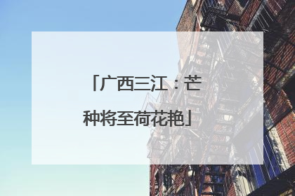 广西三江：芒种将至荷花艳