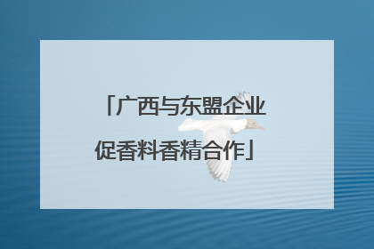 广西与东盟企业促香料香精合作