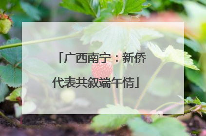 广西南宁：新侨代表共叙端午情