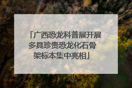 广西恐龙科普展开展 多具珍贵恐龙化石骨架标本集中亮相