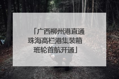 广西柳州港直通珠海高栏港集装箱班轮首航开通