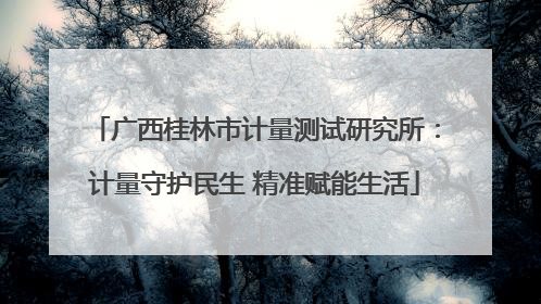 广西桂林市计量测试研究所：计量守护民生 精准赋能生活