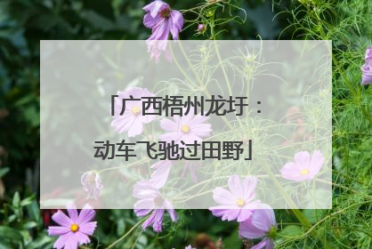 广西梧州龙圩：动车飞驰过田野