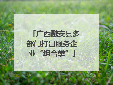 广西融安县多部门打出服务企业“组合拳”