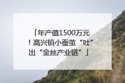 年产值1500万元！高兴镇小蚕茧“吐”出“金丝产业链”