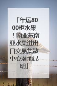 年运8000柜水果！南亚东南亚水果进出口交易集散中心落地昆明
