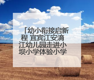 幼小衔接启新程 宜宾江安淯江幼儿园走进小坝小学体验小学生活