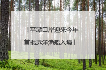 平潭口岸迎来今年首批远洋渔船入境