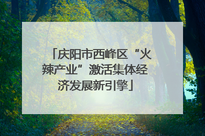 庆阳市西峰区“火辣产业”激活集体经济发展新引擎