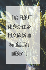 废旧茶厂化身浙江乡村文旅新地标 盘活沉睡资产