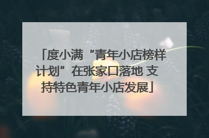 度小满“青年小店榜样计划”在张家口落地 支持特色青年小店发展