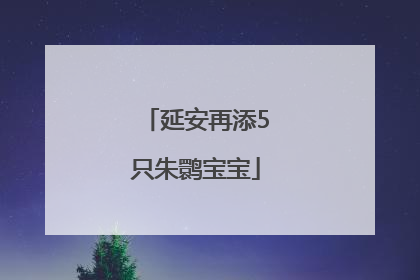 延安再添5只朱鹮宝宝