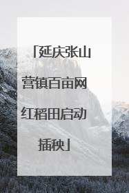 延庆张山营镇百亩网红稻田启动插秧