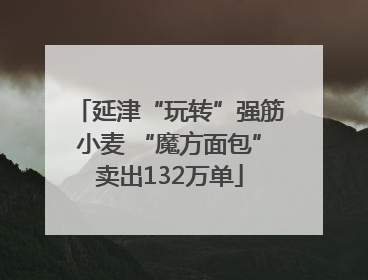 延津“玩转”强筋小麦 “魔方面包”卖出132万单