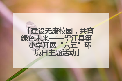 建设无废校园，共育绿色未来——望江县第一小学开展“六五”环境日主题活动