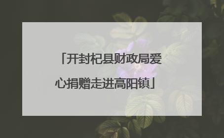 开封杞县财政局爱心捐赠走进高阳镇