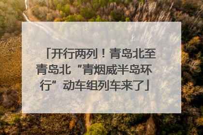 开行两列！青岛北至青岛北“青烟威半岛环行”动车组列车来了
