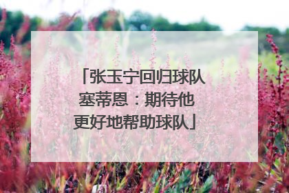 张玉宁回归球队 塞蒂恩：期待他更好地帮助球队