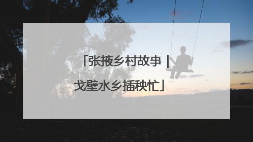 张掖乡村故事｜戈壁水乡插秧忙